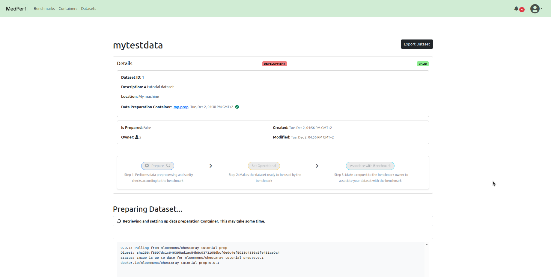Dataset Owner Runs Dataset Preparation