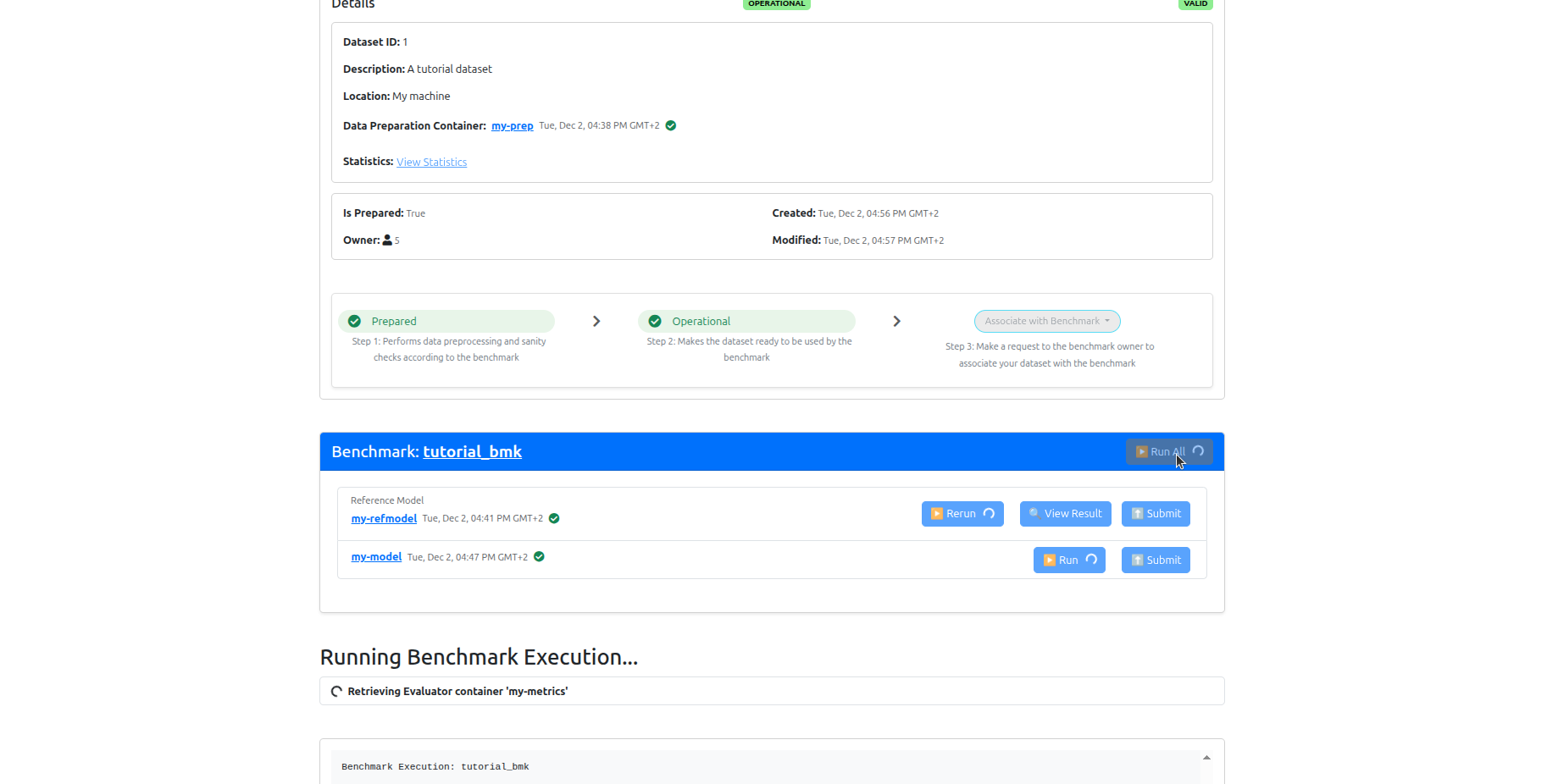 Dataset Owner Run Execution